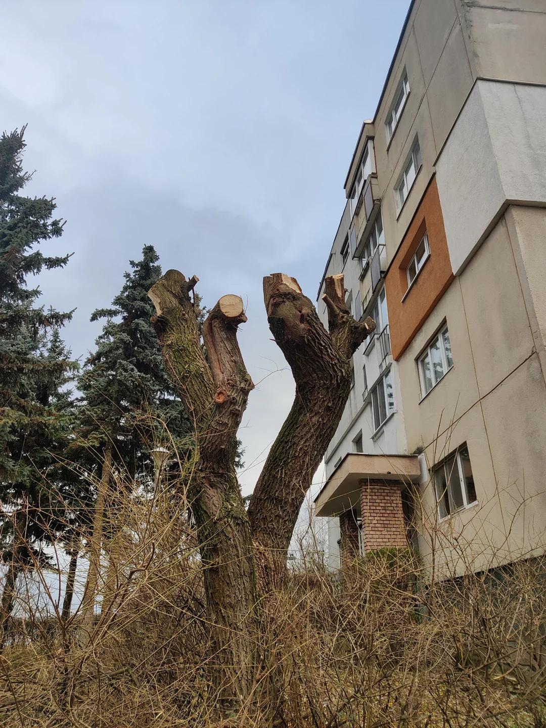 dorel-strikes-again-la-nici-o-saptamana-de-la-amenzi-v0-rplcnkqt9d7e1 (1).webp