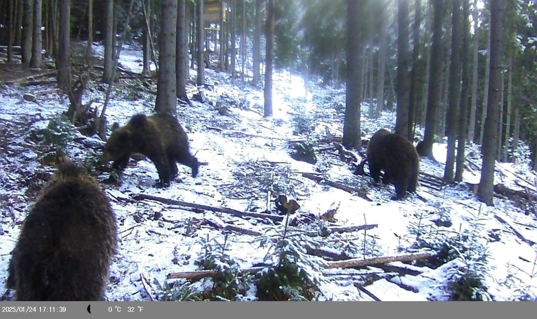 WhatsApp Image 2025-02-08 at 11.50.57 (1).jpeg