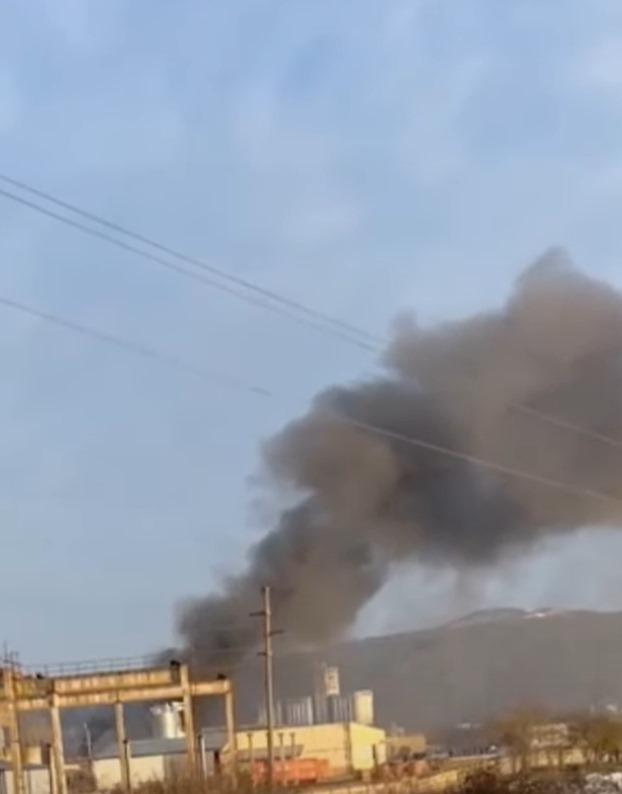 WhatsApp Image 2025-02-04 at 17.04.51.jpeg