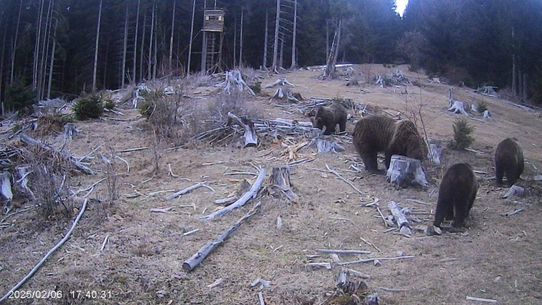 WhatsApp Image 2025-02-08 at 11.39.07 (1).jpeg