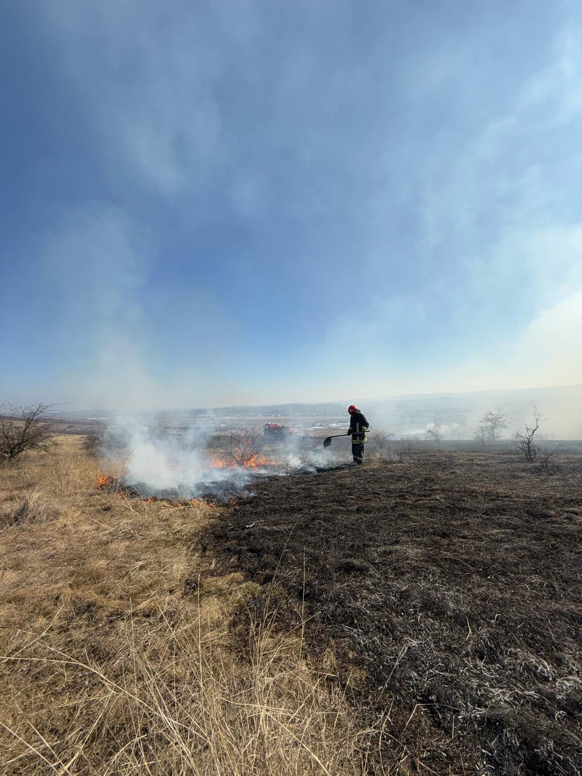 WhatsApp Image 2025-03-04 at 14.12.00_bf2604f1.jpg