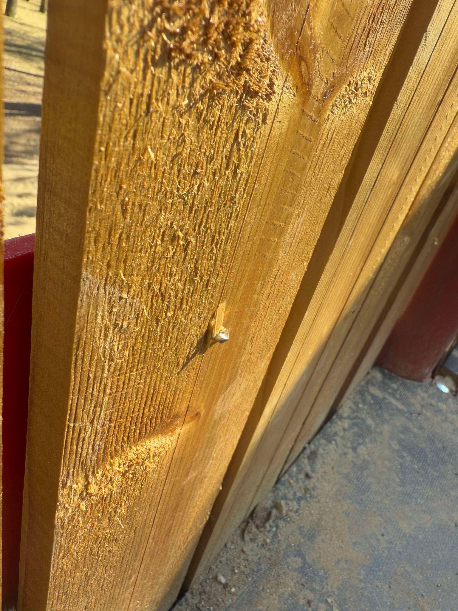 WhatsApp Image 2025-03-05 at 13.25.42_2b14b07d.jpg