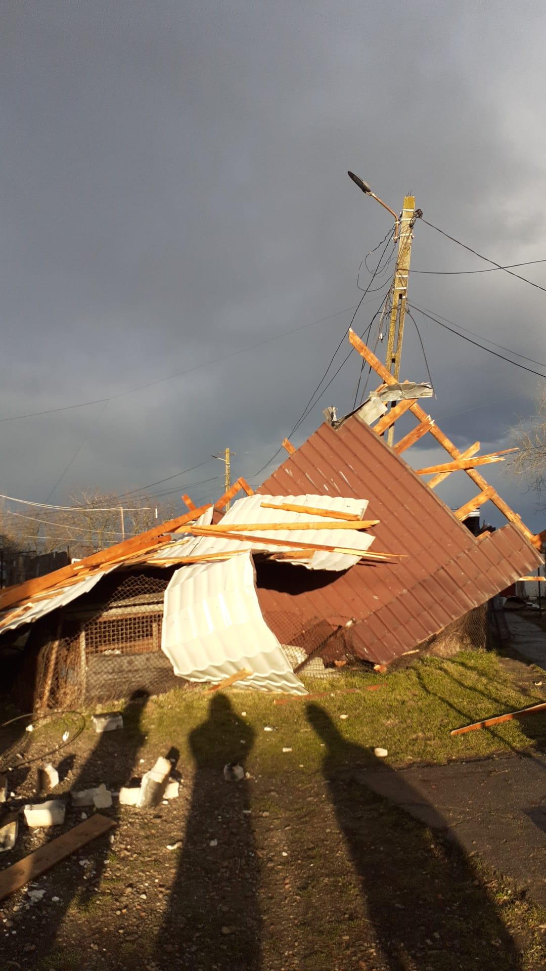 WhatsApp Image 2025-03-13 at 17.32.23_eea1ccdf.jpg