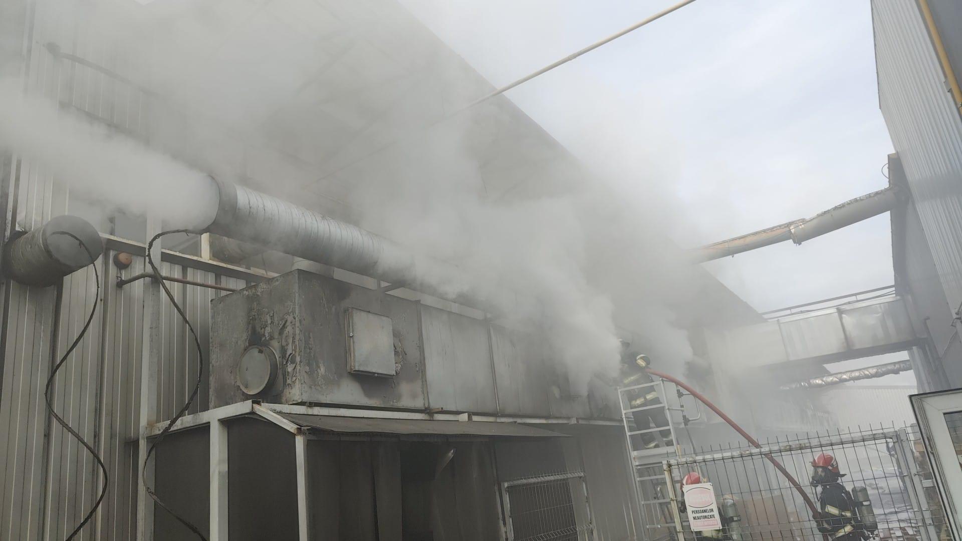 WhatsApp Image 2025-03-12 at 15.30.37_9ab44479.jpg