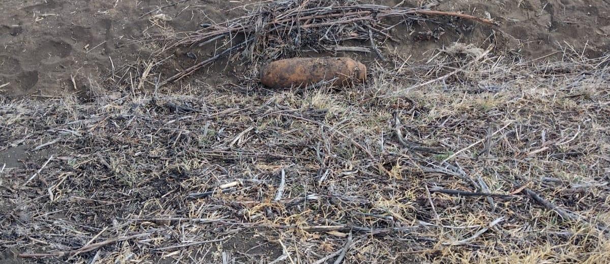 WhatsApp Image 2025-03-12 at 11.37.51_33dd2c2f.jpg