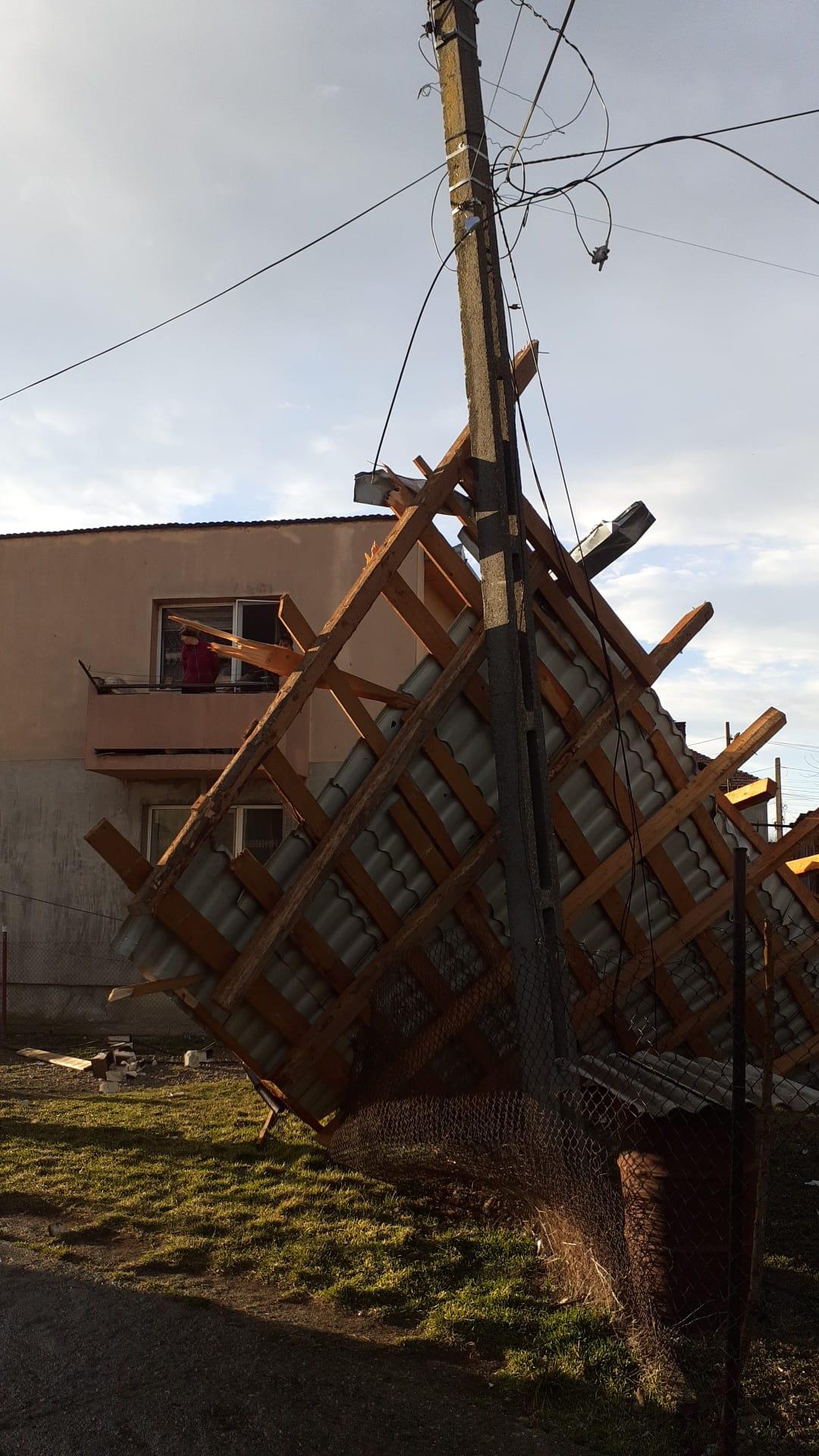 WhatsApp Image 2025-03-13 at 17.32.22_12fbdfac.jpg