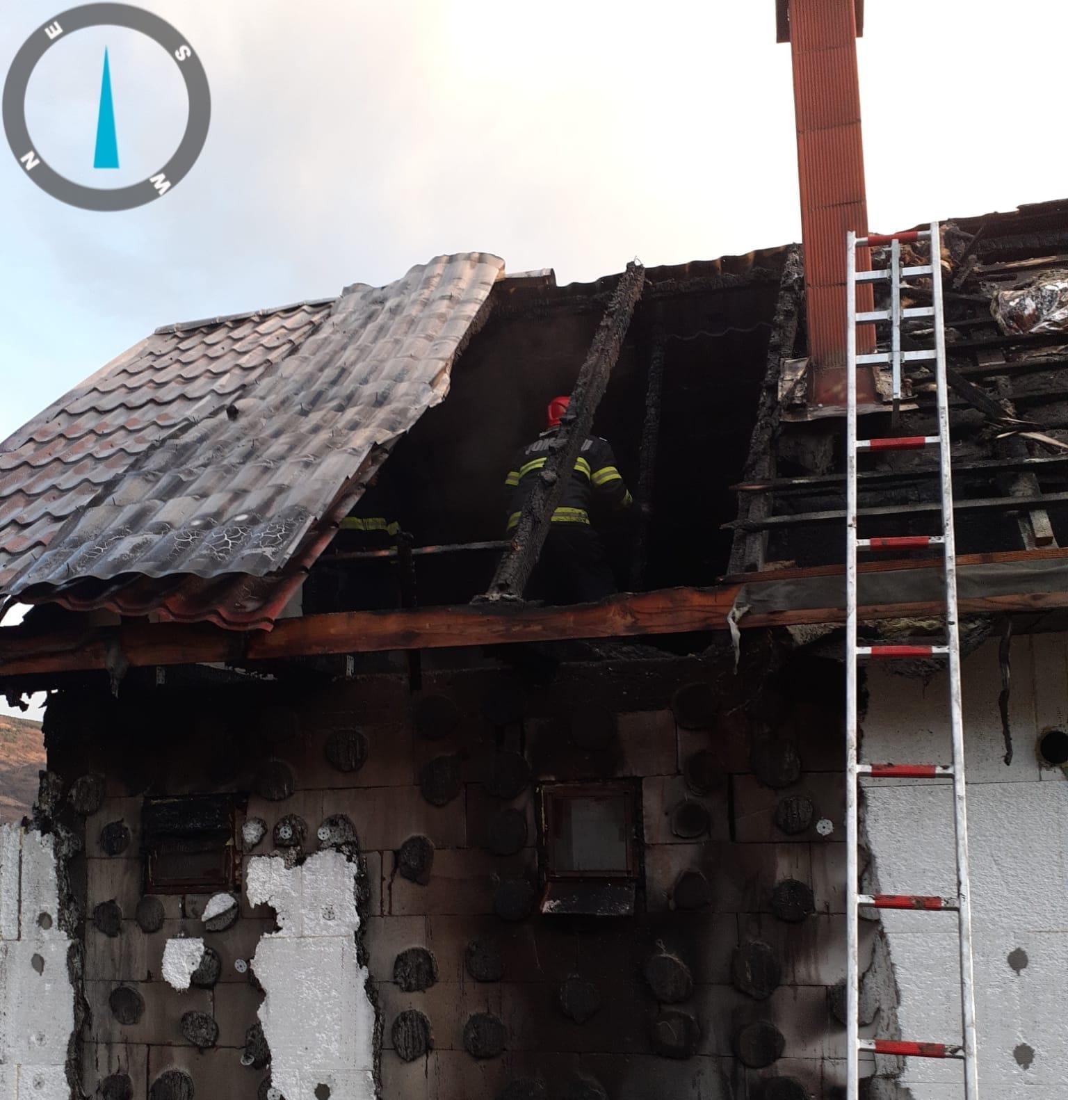 WhatsApp Image 2025-03-13 at 20.04.52_fe696f5f.jpg