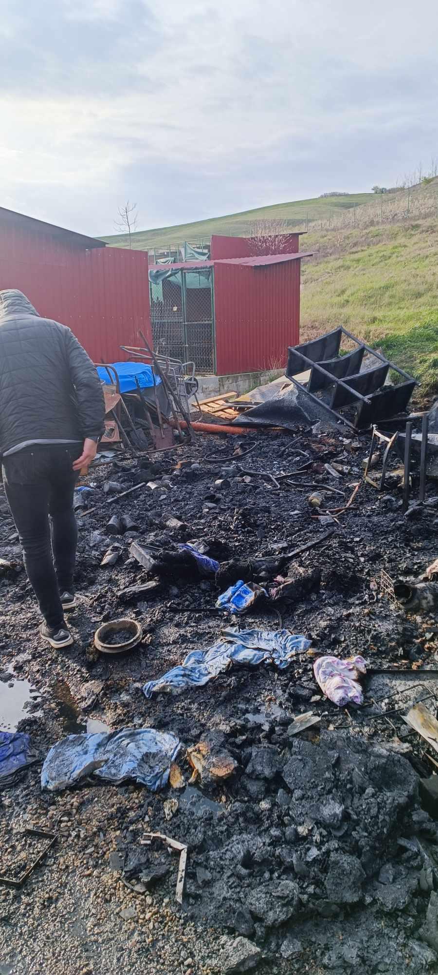 489785831_1080854440740877_4270775263581425343_n (1).jpg