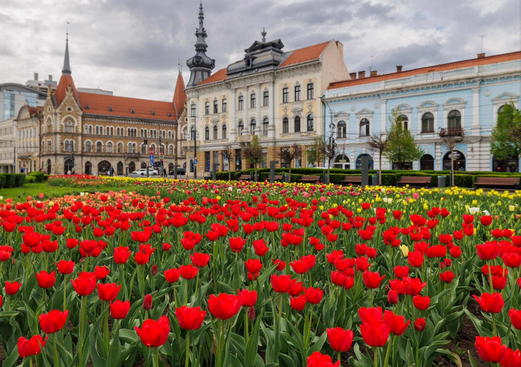 Screenshot 2025-04-21 072705.png