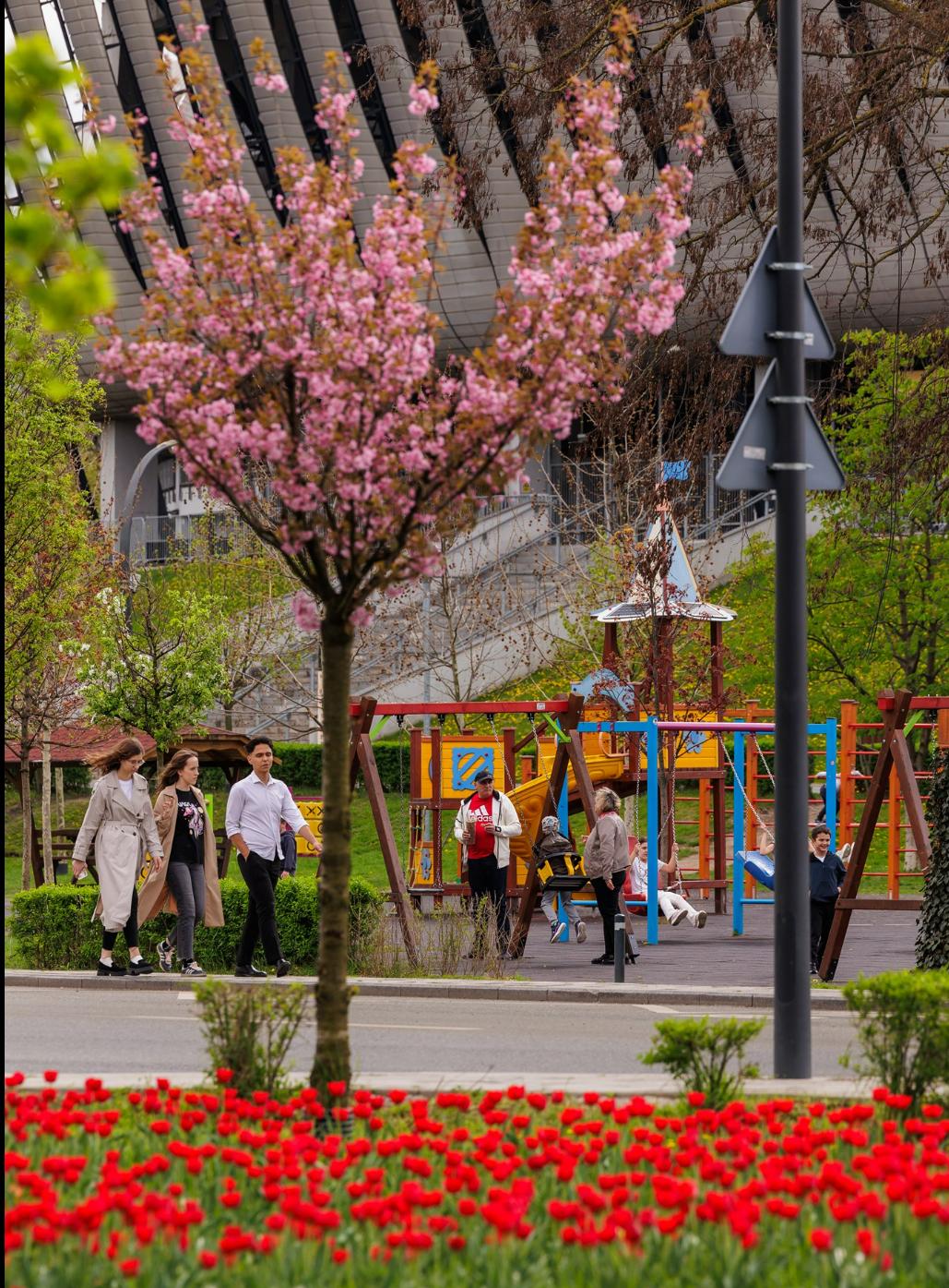 Screenshot 2025-04-21 072714.png