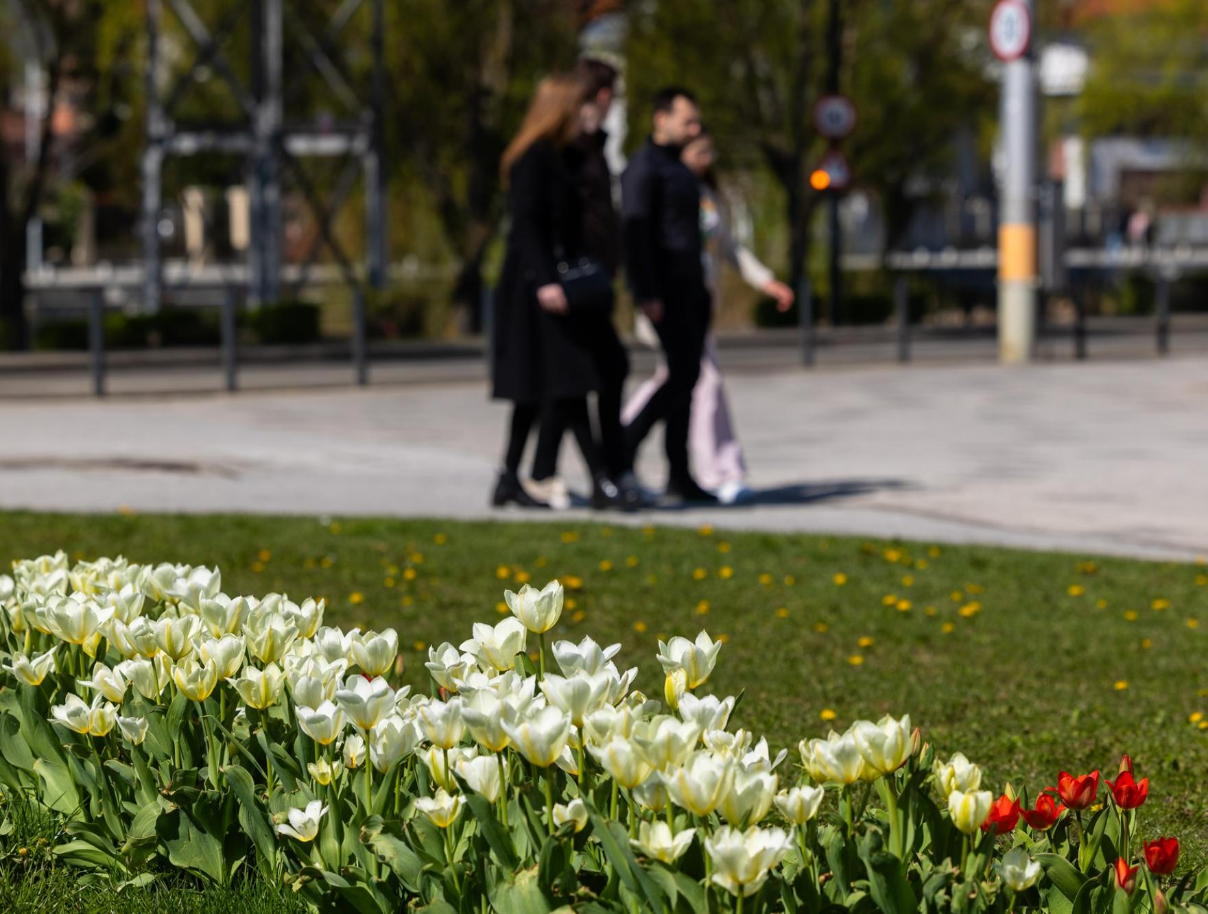 Screenshot 2025-04-21 072752.png