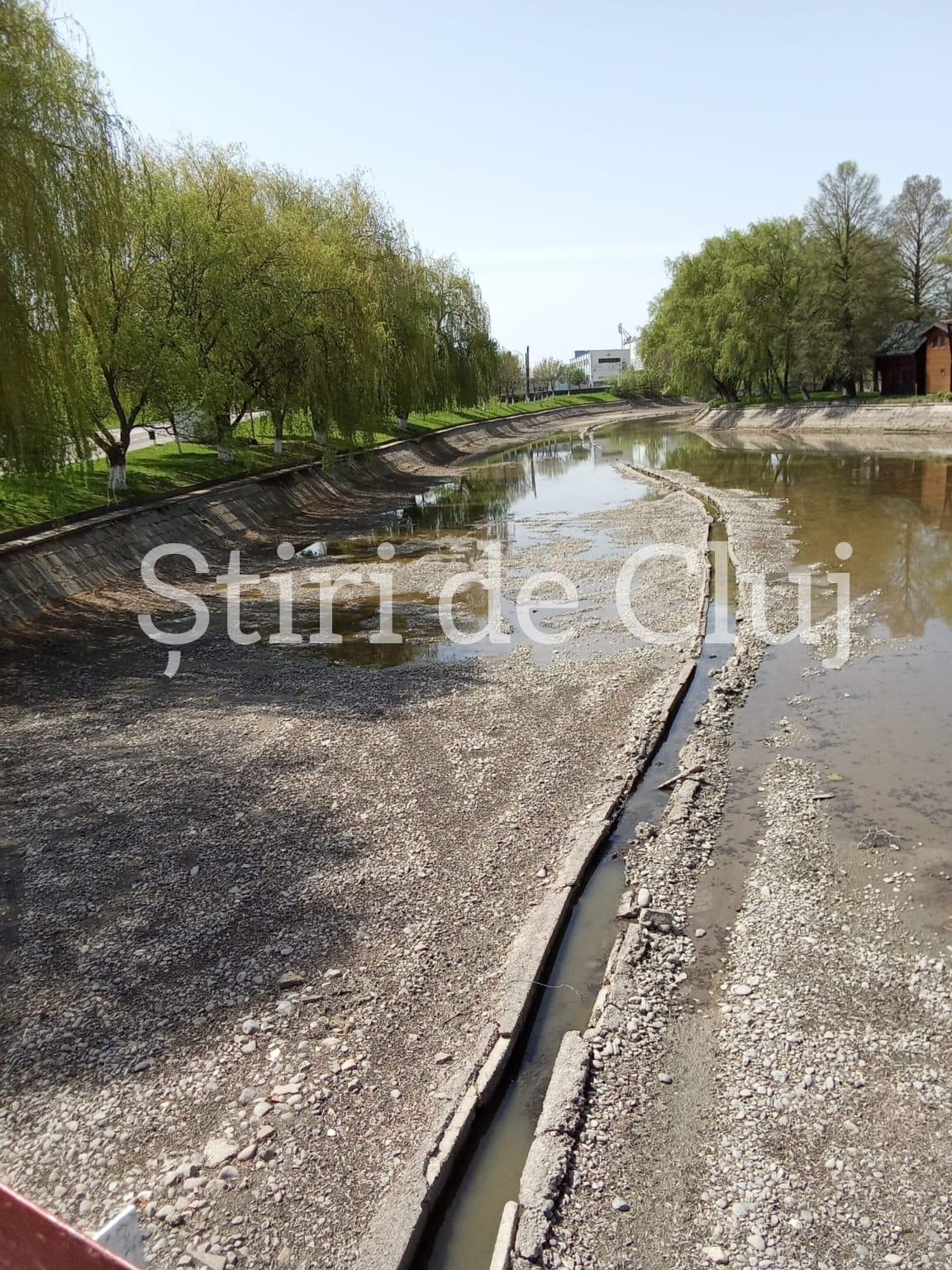 WhatsApp Image 2025-04-22 at 13.49.16.jpeg