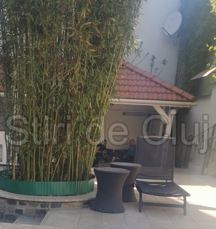 bolojan 4 Stiri de cluj.jpg