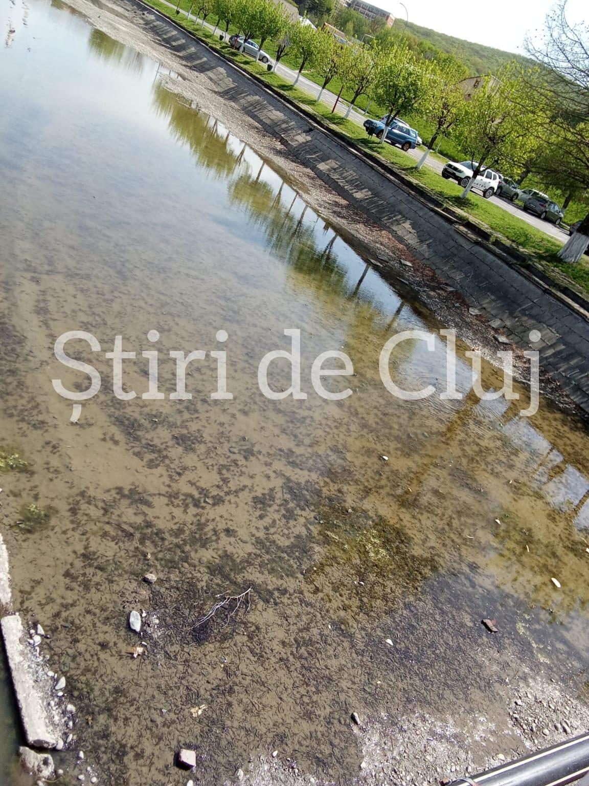 WhatsApp Image 2025-04-22 at 13.38.07.jpeg