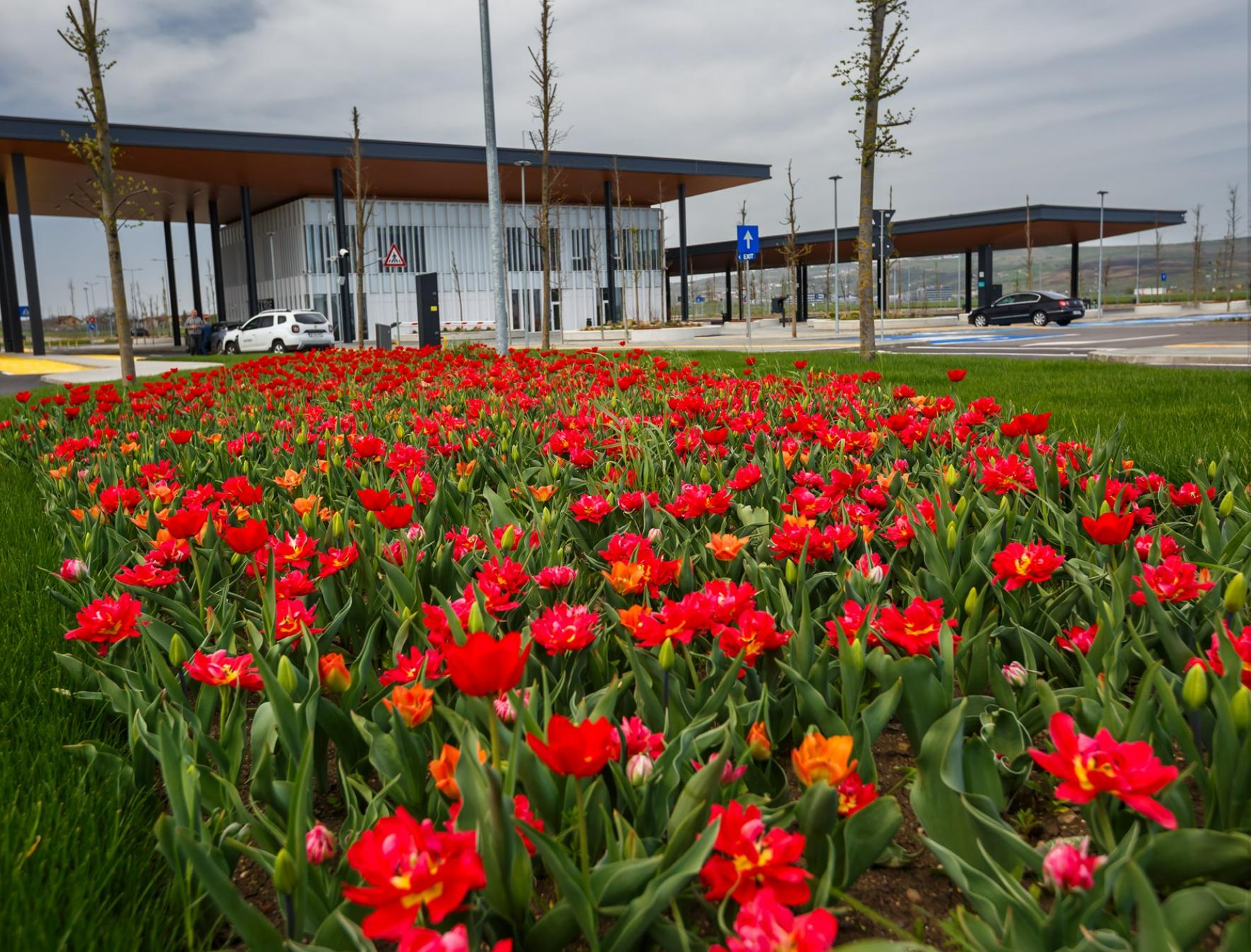 Screenshot 2025-04-21 072720.png