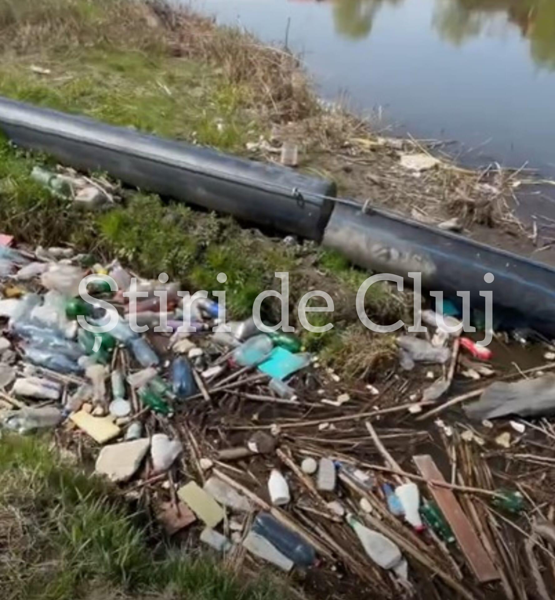 WhatsApp Image 2025-04-18 at 12.59.45.jpeg