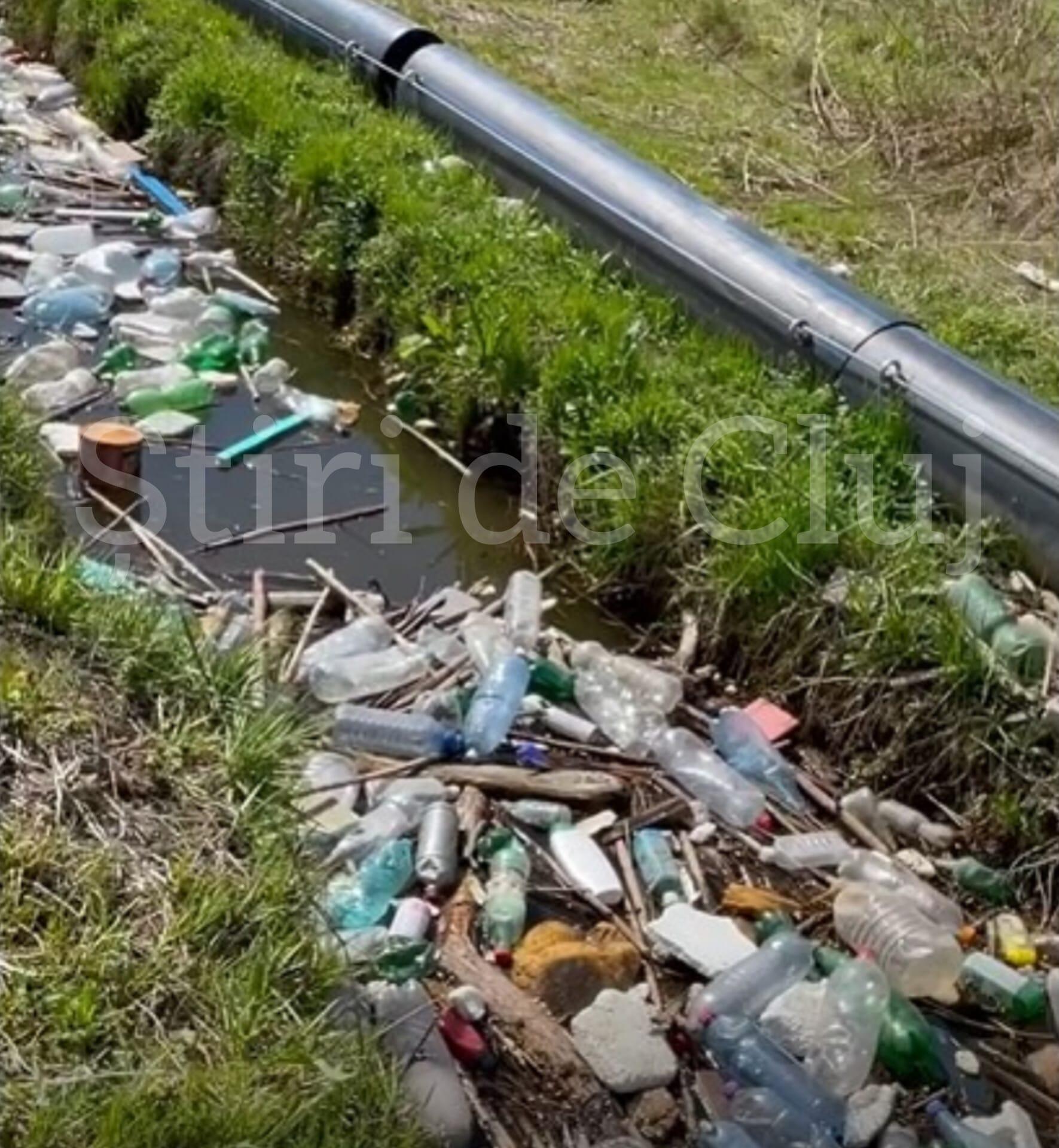 WhatsApp Image 2025-04-18 at 12.56.04.jpeg