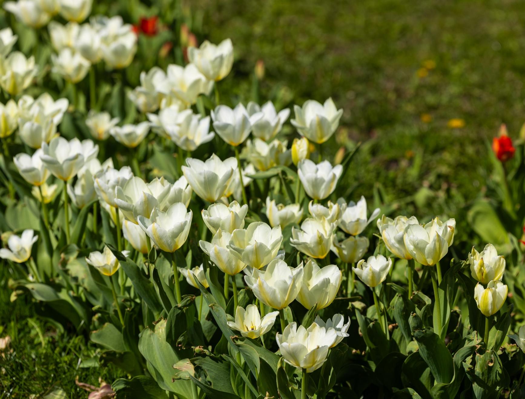 Screenshot 2025-04-21 072744.png