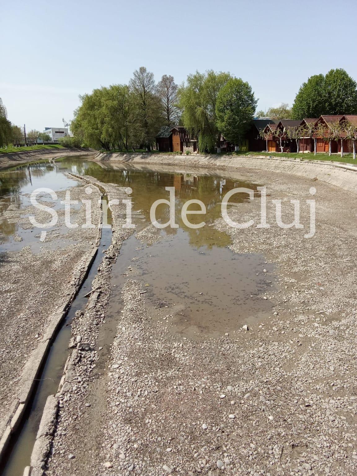 WhatsApp Image 2025-04-22 at 13.37.04.jpeg