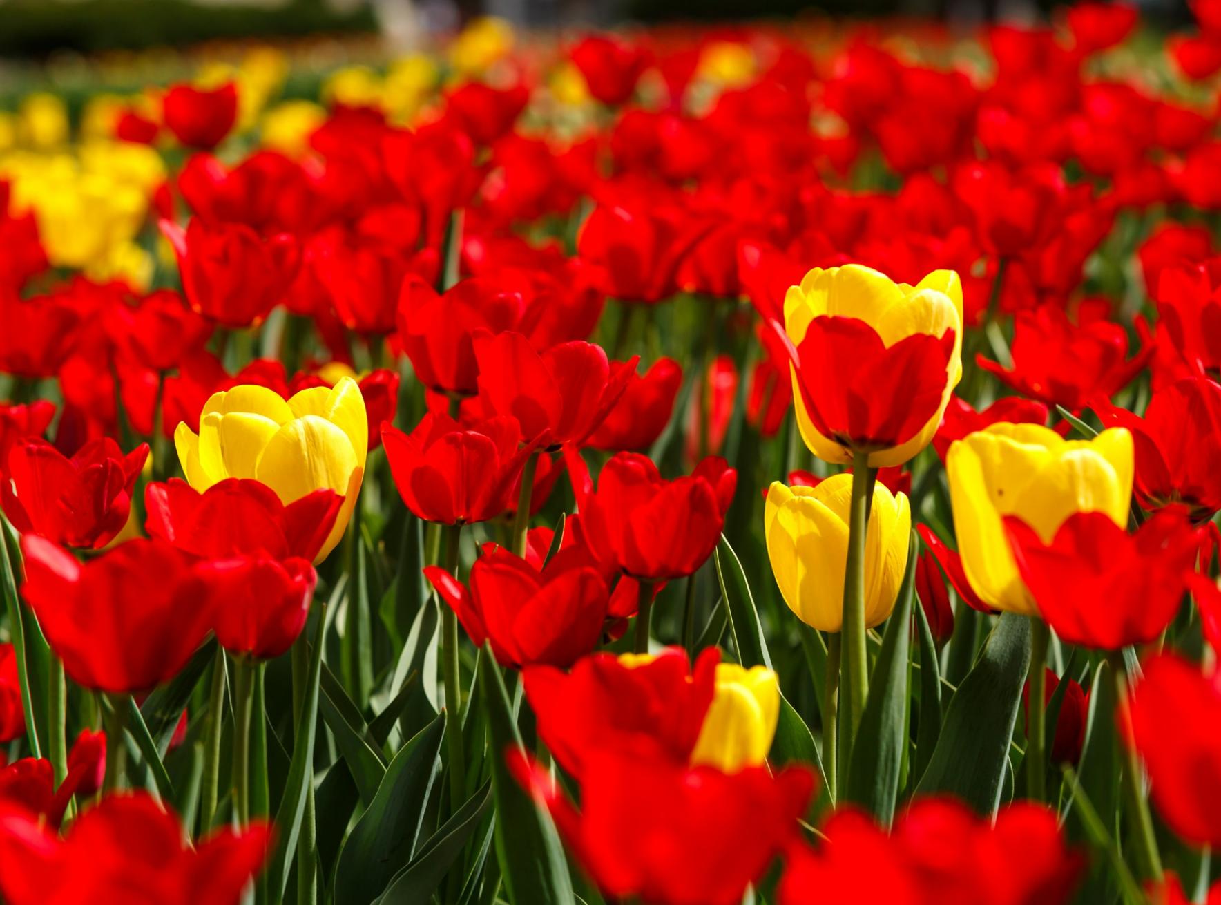 Screenshot 2025-04-21 072738.png