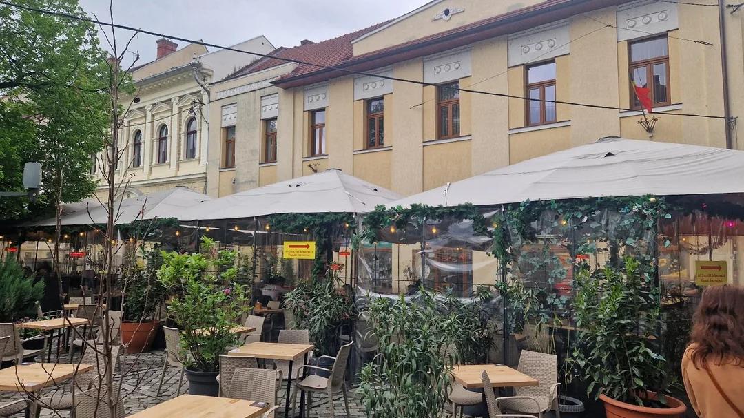 terasa-cu-folie-și-palmieri-din-piața-muzeului-strică-vibe-v0-u93wjcioykxe1.webp
