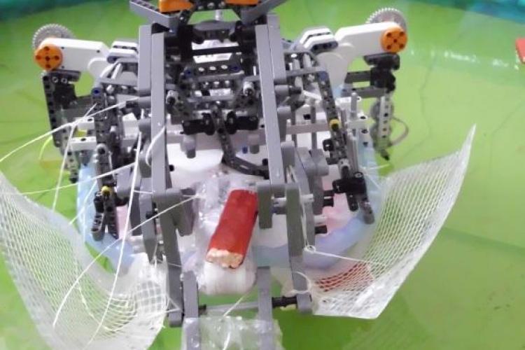 UBBots 2011: Vezi cum arata robotul care culege pet -uri de pe lac - VIDEO