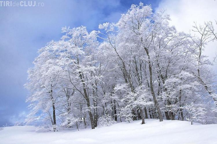 Vremea la Cluj! Minus 4 grade miercuri si joi in timpul zilei - VEZI prognoza pe urmatoarele doua zile