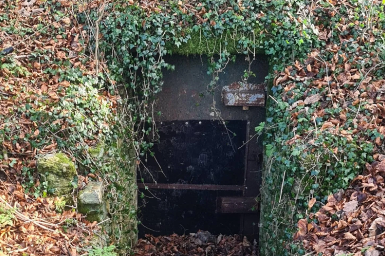 O ușă subterană misterioasă într-un parc din Cluj intrigă clujenii: Stație de Metrou, tuneluri dacice sau apartament cu 3200 euro mp? FOTO 
