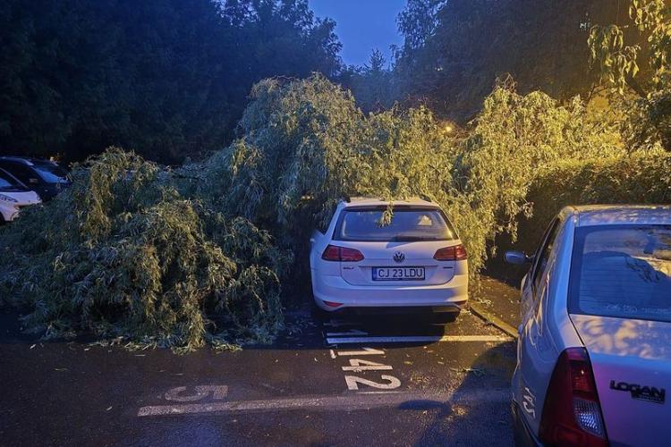 Copac căzut pe o mașină in Cluj . ”Dacă îl cunoaște cineva, să îl anunțe !” FOTO