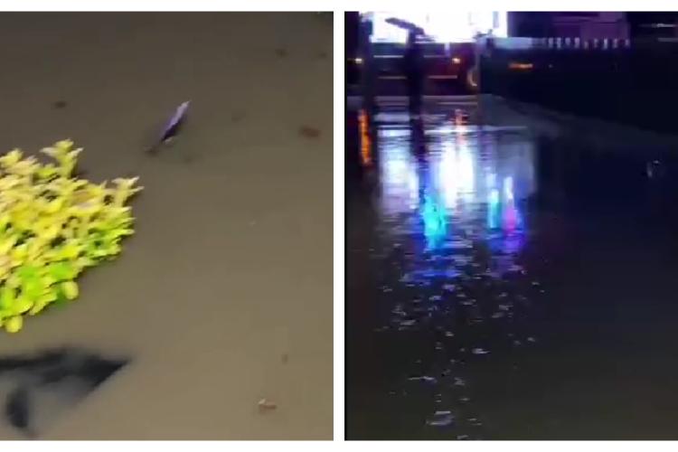 O stradă din Apahida a fost complet inundată! Întreg drumul a dispărut sub apă - VIDEO