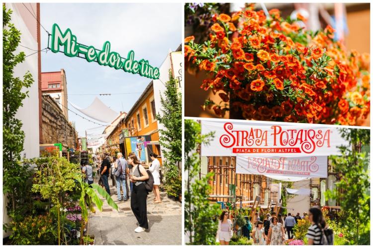 Cea mai inedită piață de flori vă așteaptă de astăzi, pe strada Potaissa din Cluj! Programul complet al activităților