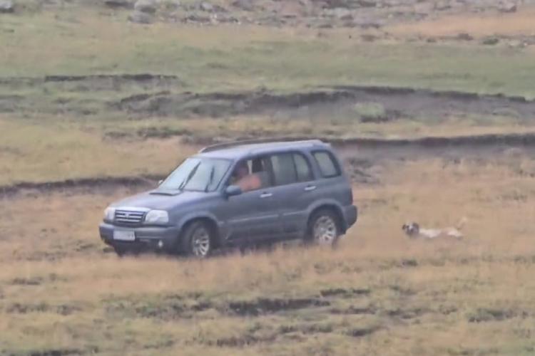 VIDEO. Imagini terifiante surprinse pe un câmp din Cluj/Și-a legat câinele de mașină și l-a târât sute de metri
