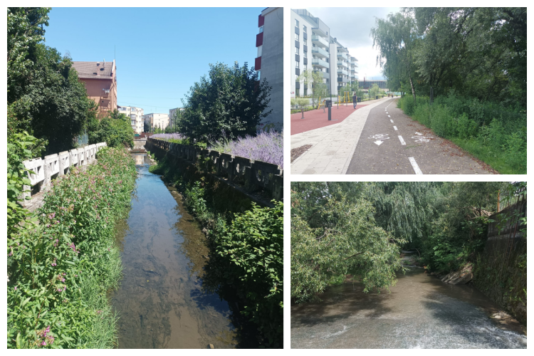 Un oraș din Ardeal este mai „avansat” decât Clujul: „Deocamdată, noi avem chiar și două rânduri de garduri la ape”