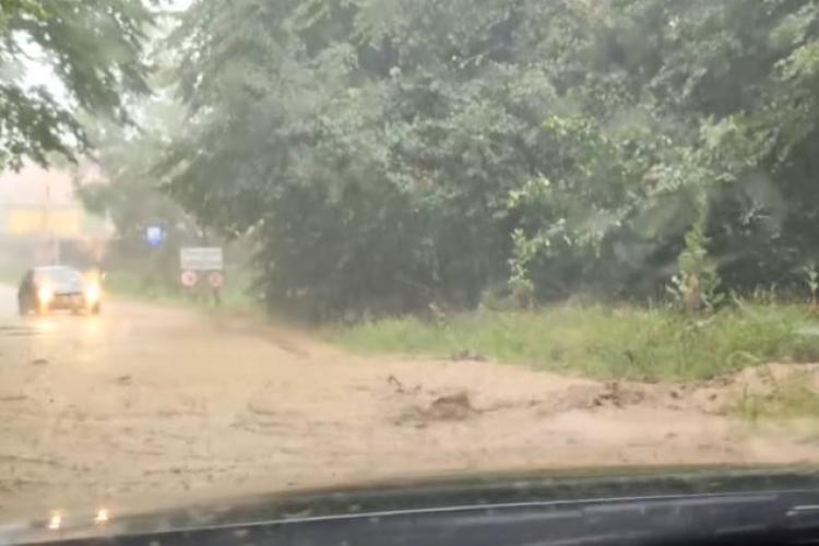 Strada a devenit râu! Inundații și copaci căzuți în urma vijeliei de ieri din Cluj VIDEO