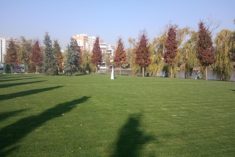Cerșetorii hărțuiesc clujenii în parcurile din Cluj-Napoca. Ce e de făcut?: ,,Efectiv te urmăresc, vin foarte aproape de tine”