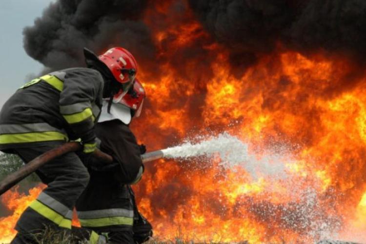 Cum s-a produs incendiul de la ferma din Lita, județul Cluj. Flăcările au omorât peste 600 de porci 
