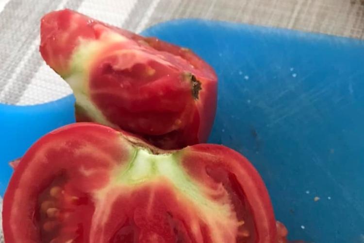 Ce a găsit o clujeancă în „roșiile țărănești” de la un supermarket din Cluj. Femeia a fost șocată de situație: „Curgea din ele” - FOTO
