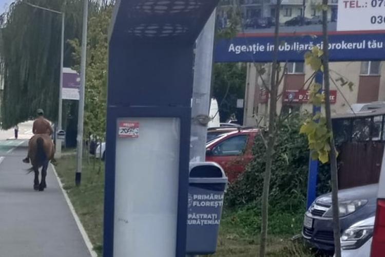 Scene desprinse din filmele western pe străzile din Cluj. Poliția a intervenit după ce un bărbat a fost surprins la plimbare pe trotuar cu un cal - FOTO