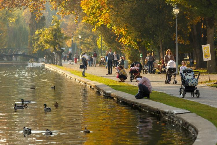 Reclamă la jocuri de noroc în Parcul Central din Cluj: ,,Până la urmă care e treaba statului? Să ne protejeze sau să facă bani cu afaceriștii”-FOTO