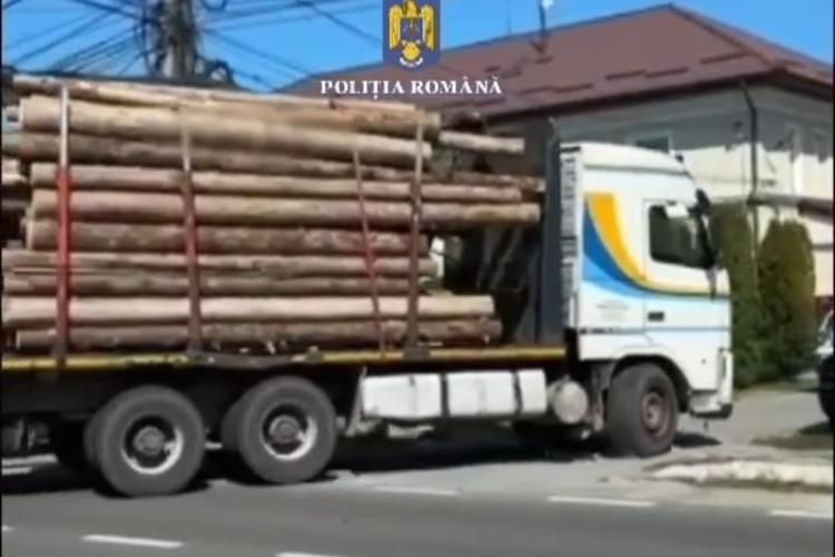 VIDEO. Lemn ilegal de 300.000 de lei, confiscat de polițiștii clujeni. Șoferul a rămas fără camion/Firma, amendată cu 10.000 de lei