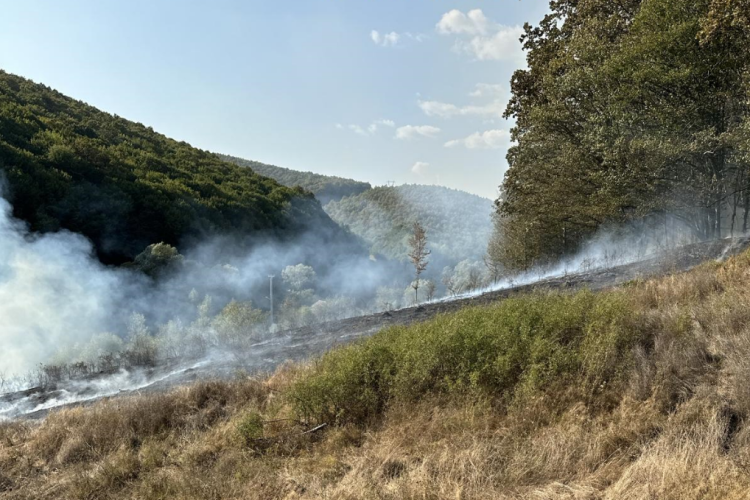 VIDEO Incendiu devastator: Focul a mistuit 3 hectare/ O casă salvată de pompierii clujeni în ultimul moment!