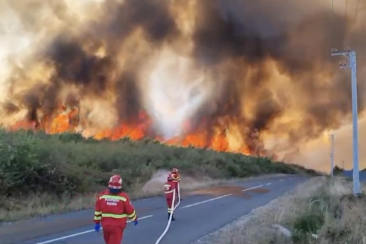 INCENDIU URIAȘ, probabil cel mai mare din ultimii ani! Pompieri clujeni participă la stingerea focului care s-a întins pe 500 de hectare. VIDEO