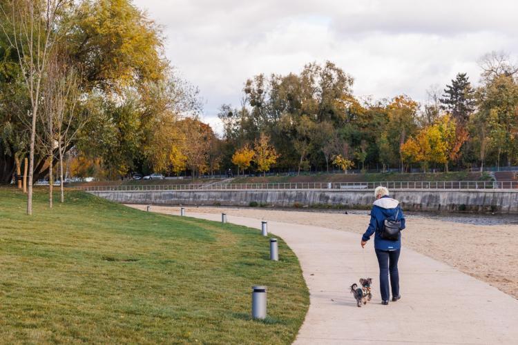 Cluj: ,,Peste tot sunt persoane care își lasă câinii needucați fără lesă pe domeniul public” - Lesa, motiv de ceartă chiar și între proprietarii de câini