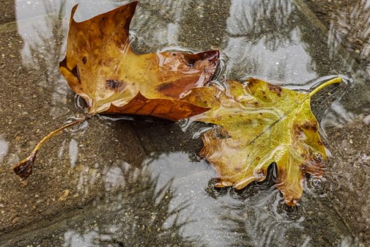 Când scăpăm de frig în România. ANM a emis prognoza meteo pentru următoarele două săptămâni/Cum va fi vremea în Transilvania