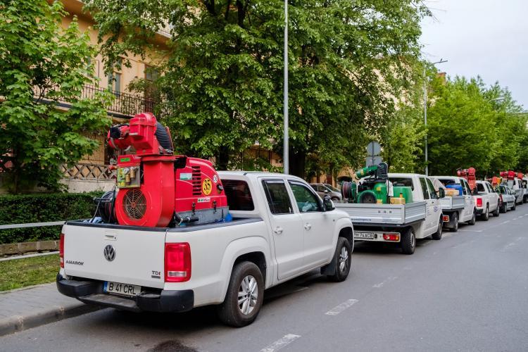 Tratamente împotriva insectelor, pe domeniul public, în Cluj-Napoca! Când are loc acțiunea