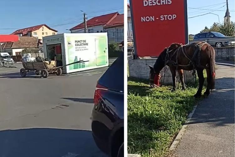 VIDEO. „Reciclatorii” din Florești, 100% eco-friendly! Strâng căruțe de PET-uri și le transportă cu ajutorul cailor: „Fac curat din cauza foamei”