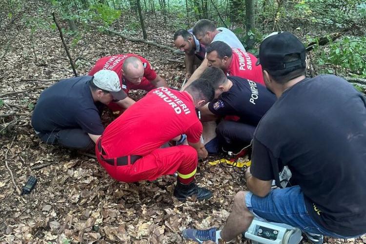 Un bărbat a fost rănit, după ce un copac a căzut peste el, într-o pădure din Cluj! A fost transportat la spital