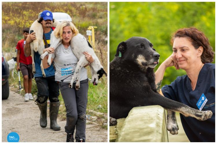 Un ONG face treaba Primăriei Cluj! A sterilizat 500 de câini de la Pata Rât și mai sterilizează 200, după ce RADP a REFUZAT să se implice