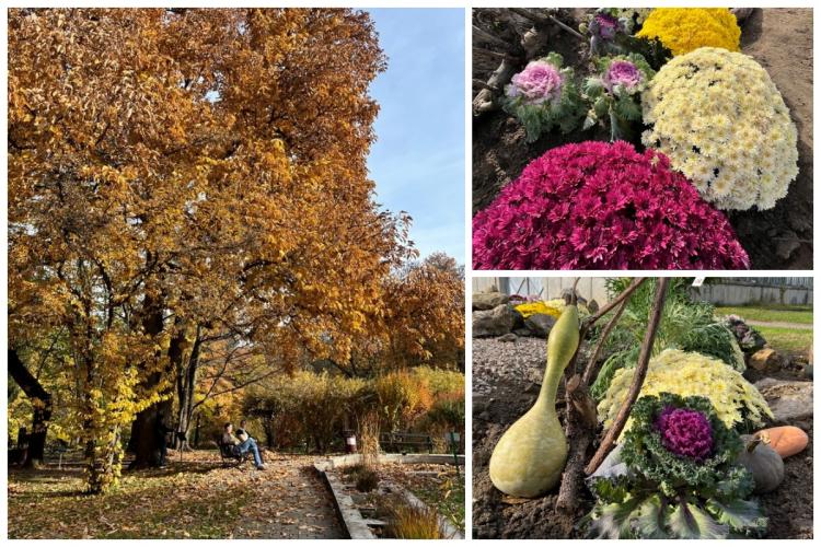 Magie de toamnă la Grădina Botanică din Cluj-Napoca! Vezi noul program de funcționare - FOTO 