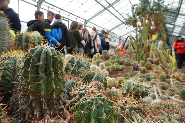 Călătorie fascinantă prin Grădina Botanică din Cluj! Tururi ghidate în sere, de Ziua Porților Deschise 